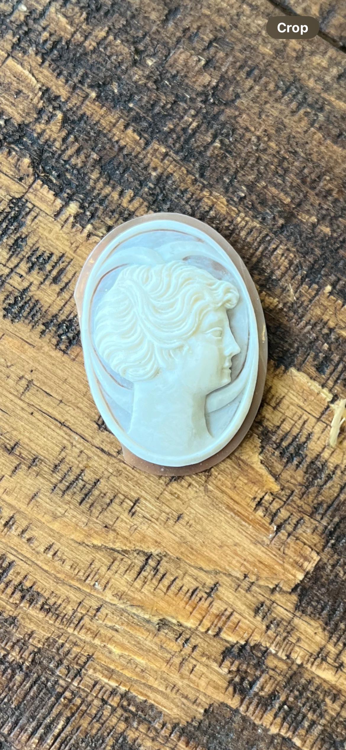 Rare Male Cameo – Antique Hand-Carved Shell Portrait – Hard-to-Find Male Cameo – Damage on Left Side