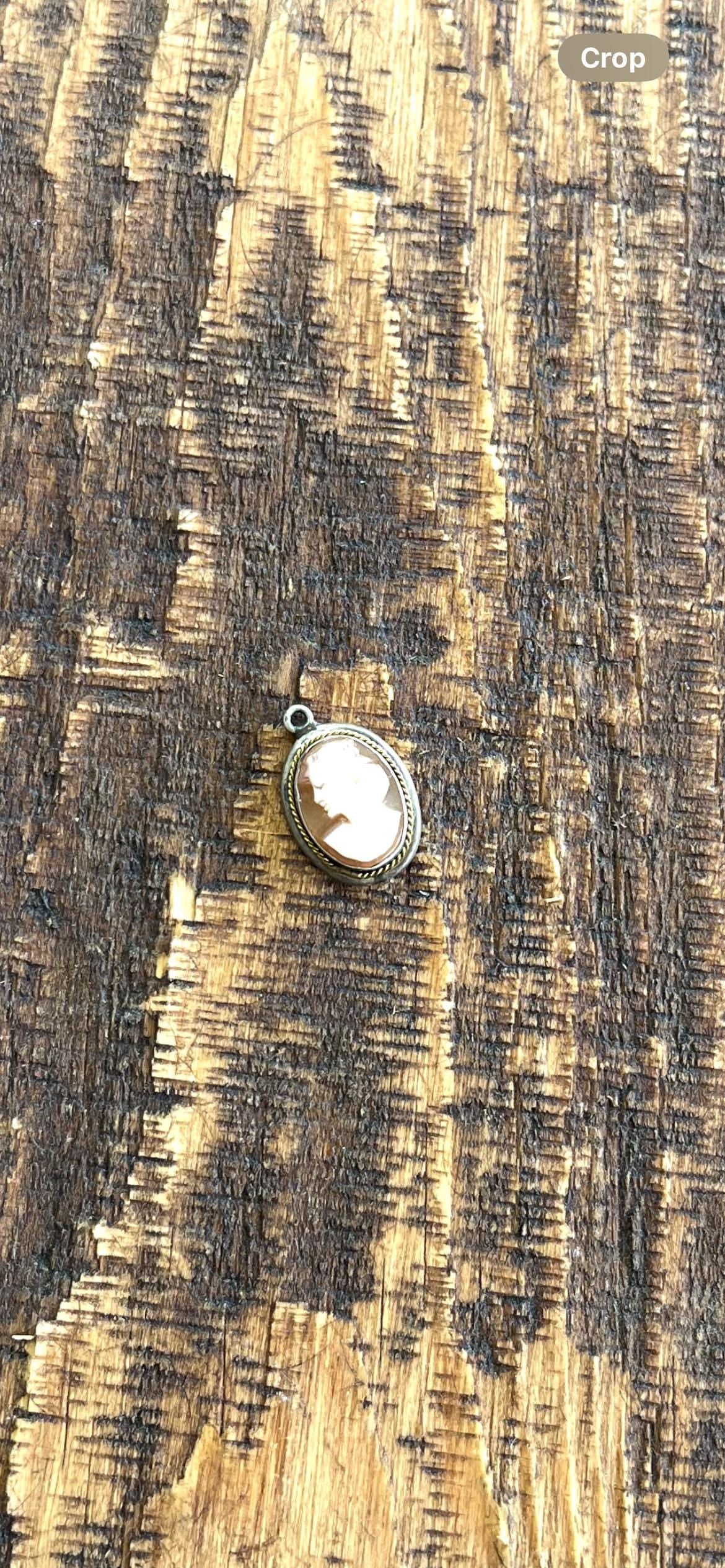Rare Habillé Shell Cameo Pendant – Crowned Left-Facing Lady – 800 Silver – Antique Hand-Carved Portrait Jewelry