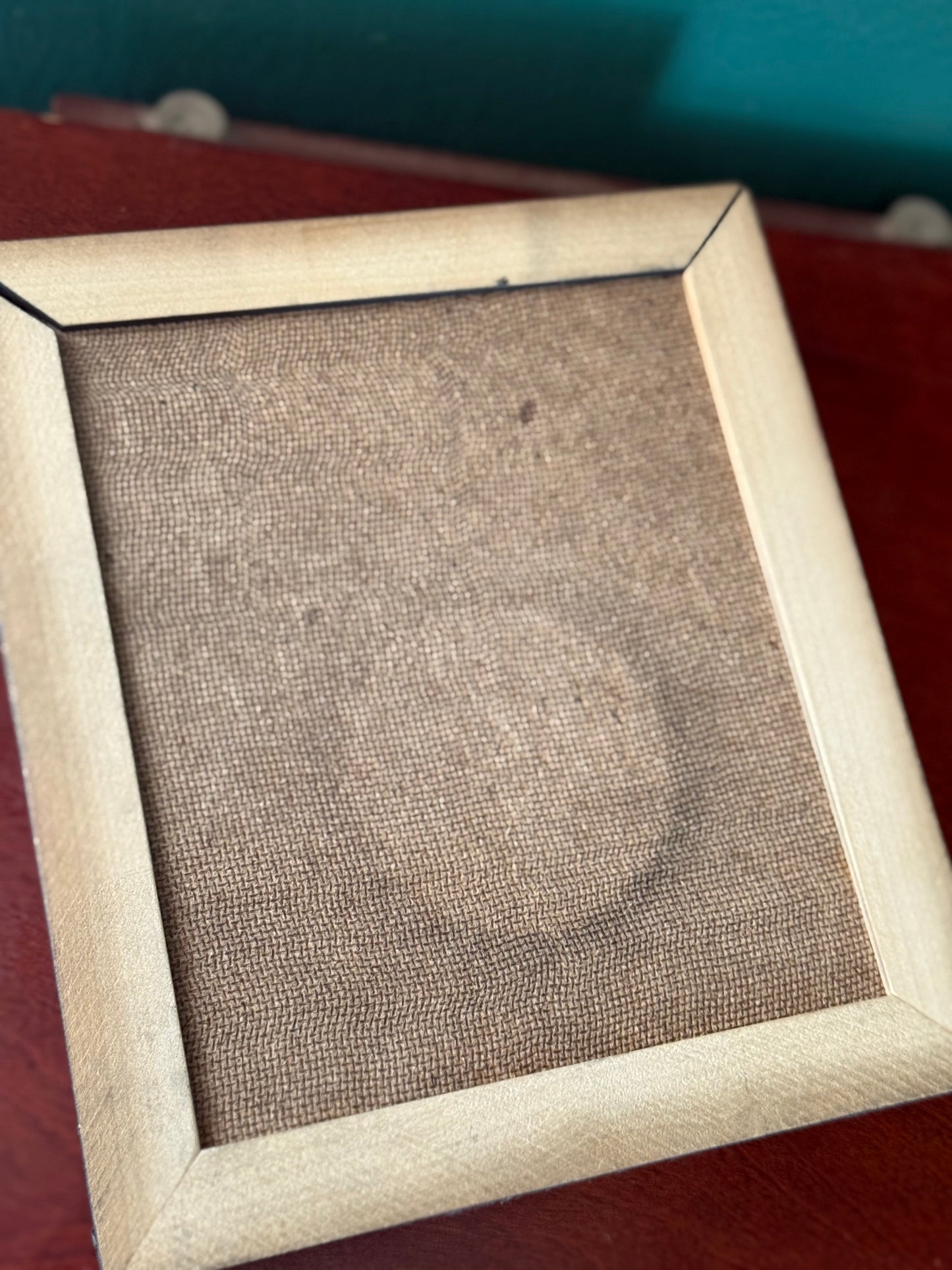 Mounted Stag Beetle Specimen in Frame, Cyclommatus metallifer, Indonesia