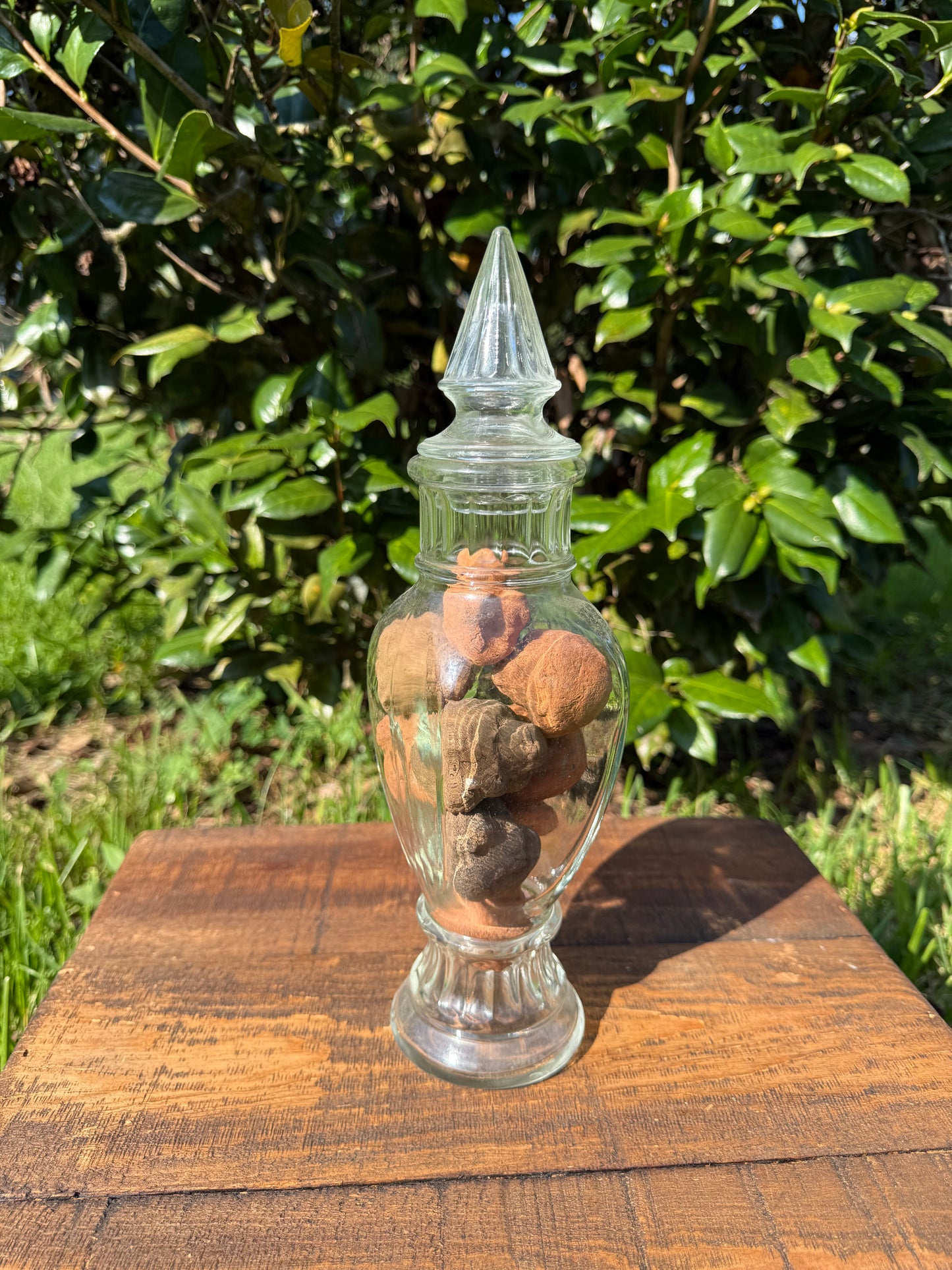 Glass Apothecary Jar with Late 19th Century Grand Tour Terracotta Busts