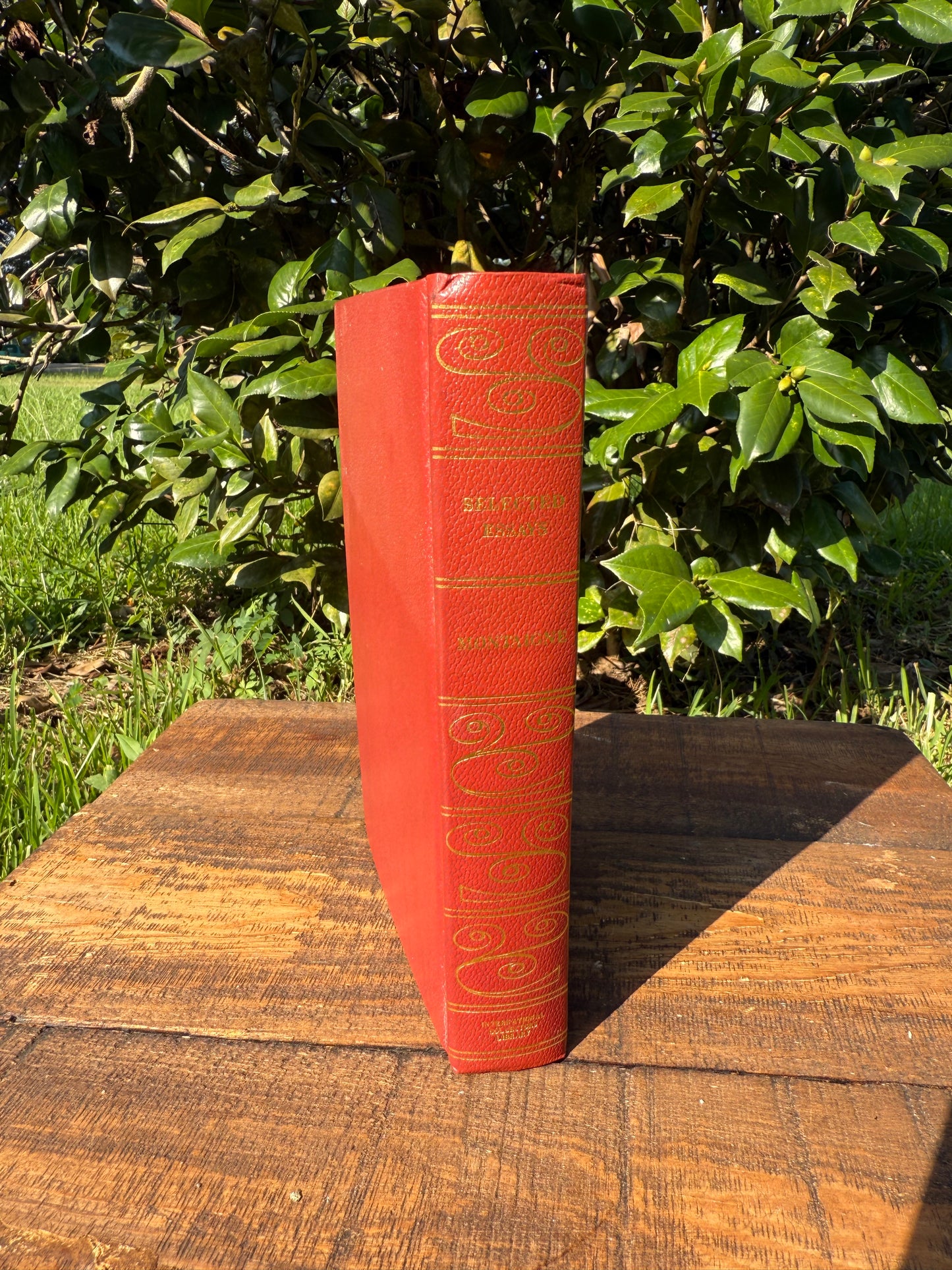 Michel de Montaigne – Selected Essays