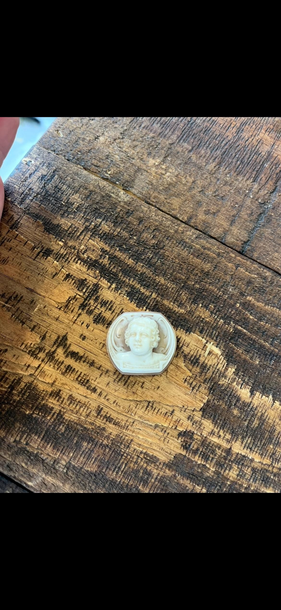 Rare Shell Cameo of Front-Facing Man – Likely Eros – High Profile Cameo – Antique Hand-Carved Portrait