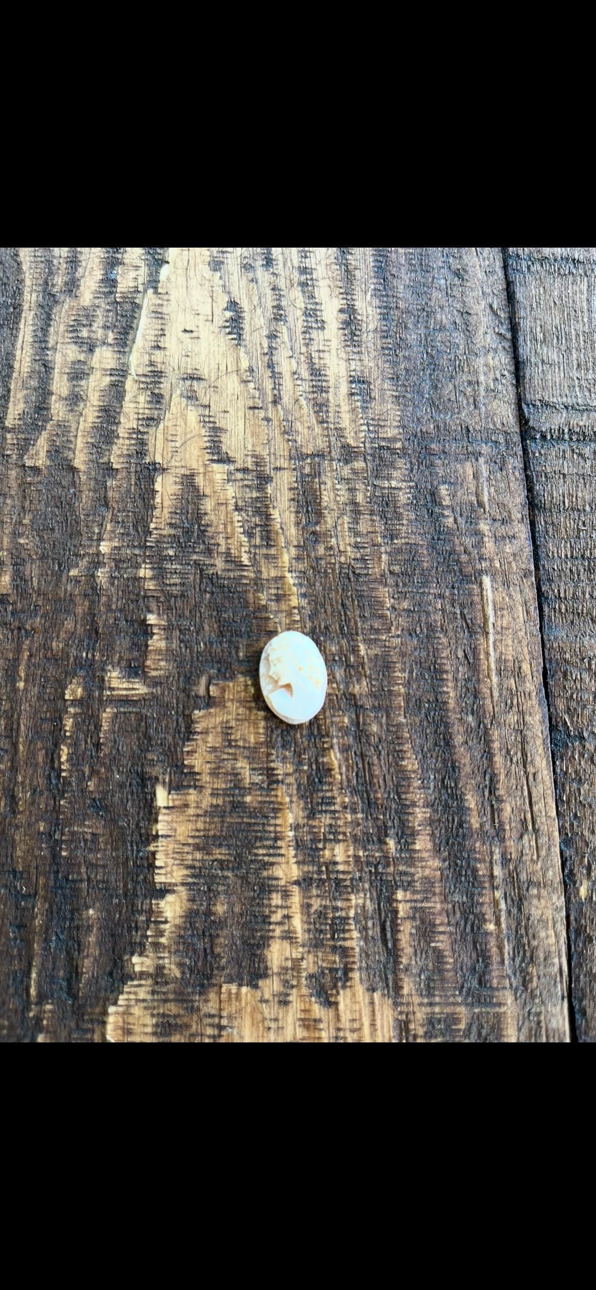 Pink Shell Cameo – Left Facing Victorian Woman – Rare Antique Cameo – Hand-Carved Vintage Jewelry
