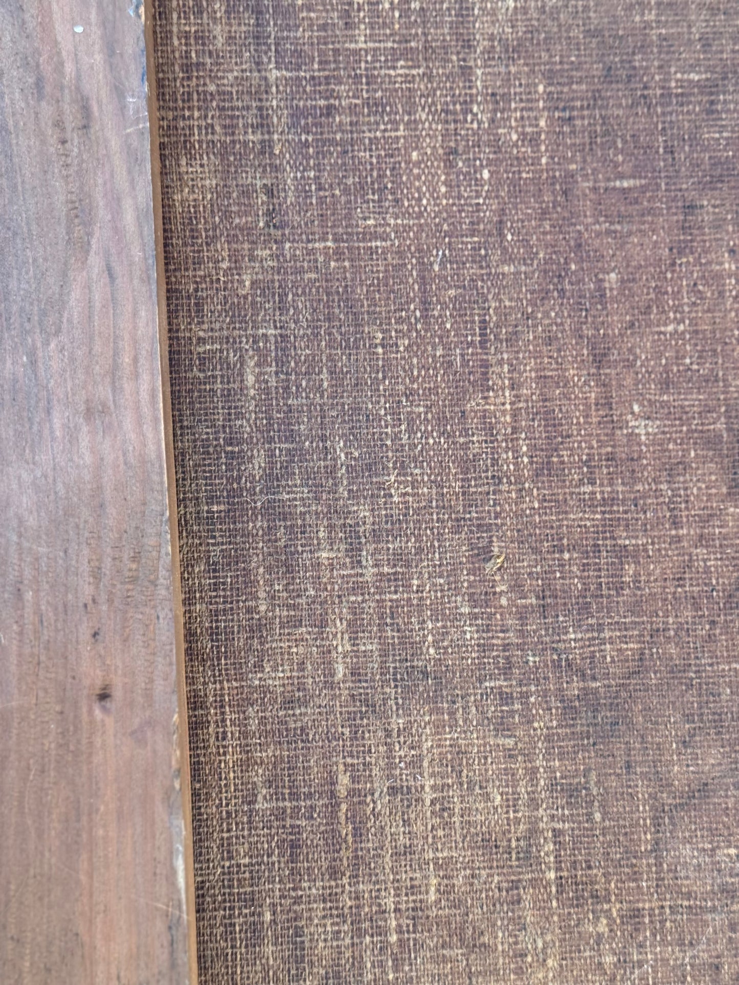 18th-Century Gentleman Portrait in Original Gilt Frame • Circle of Johann Nepomuk della Croce (European Collection Label)