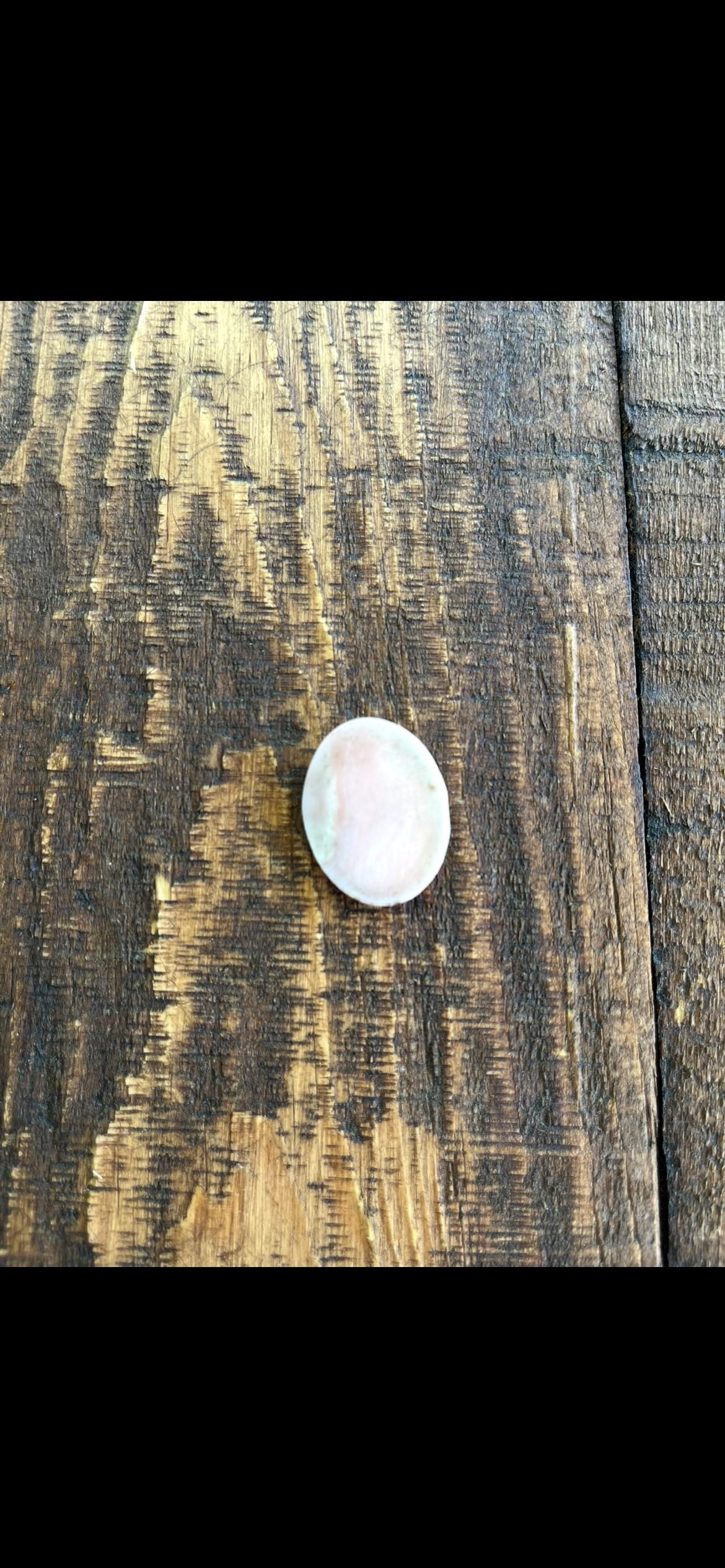 Pink Shell Cameo – Unset Carved Roman Goddess – Antique Hand-Carved Cameo – Vintage Portrait Jewelry