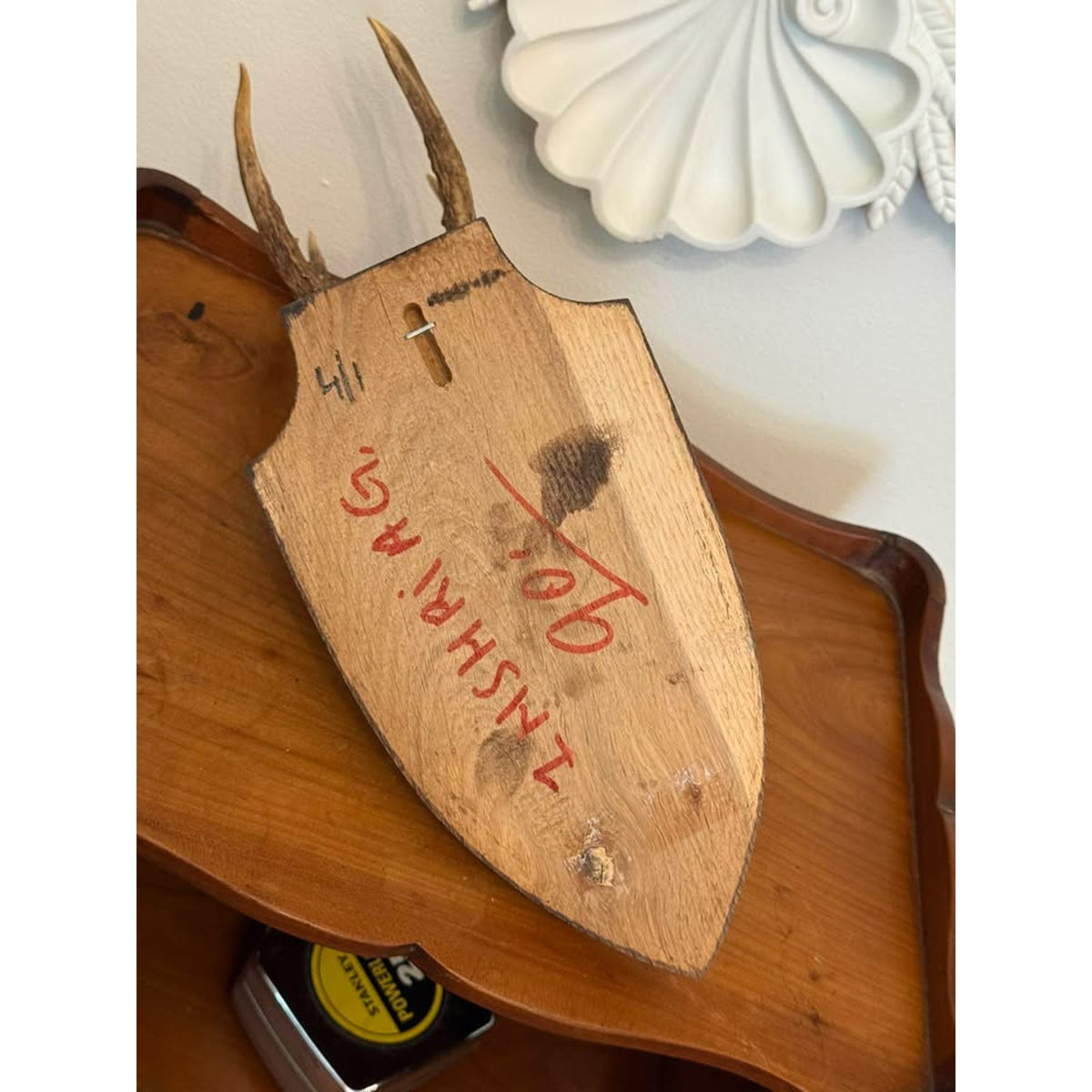 Vintage European Roe Deer Skull & Antler Trophy Mount on Wood Plaque