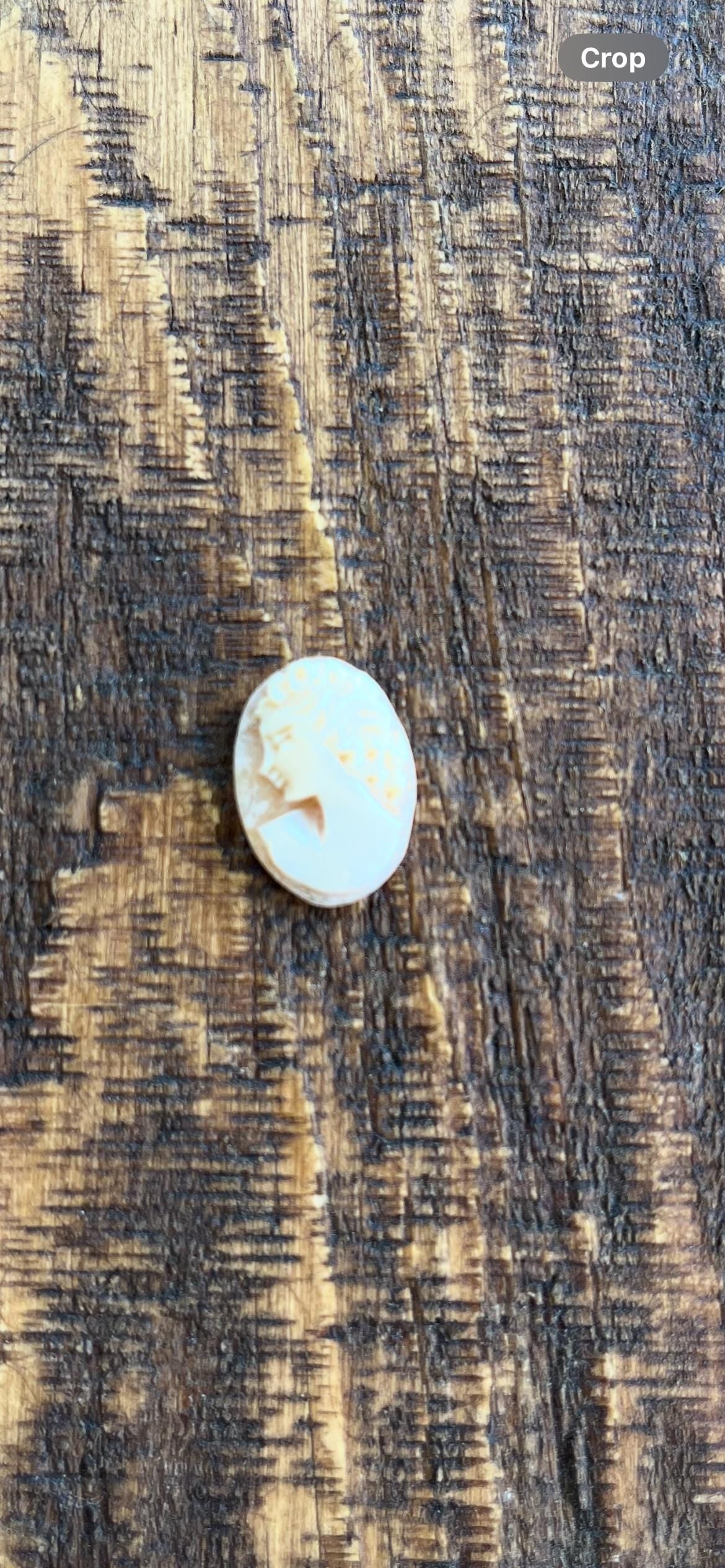 Pink Shell Cameo – Left Facing Victorian Woman – Rare Antique Cameo – Hand-Carved Vintage Jewelry