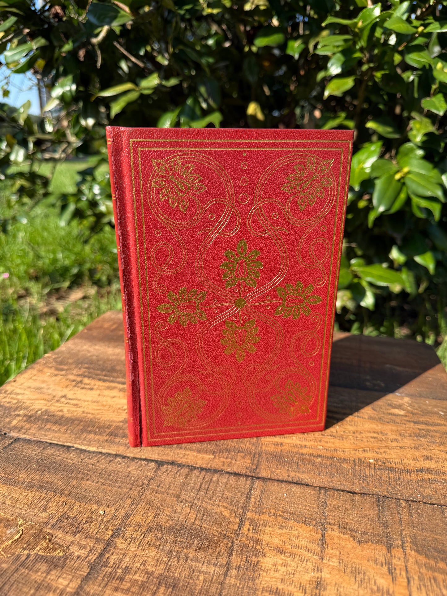 Michel de Montaigne – Selected Essays