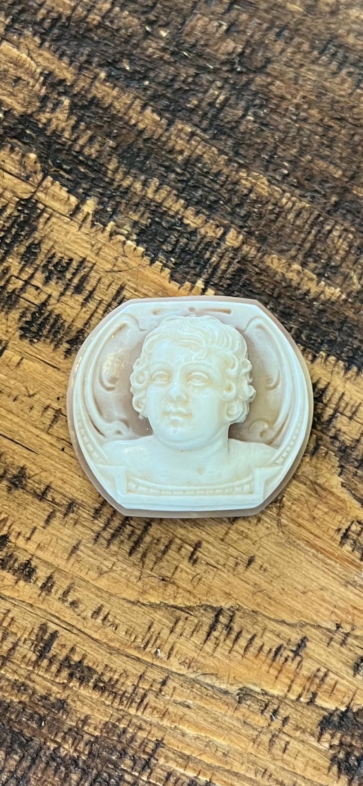 Rare Shell Cameo of Front-Facing Man – Likely Eros – High Profile Cameo – Antique Hand-Carved Portrait