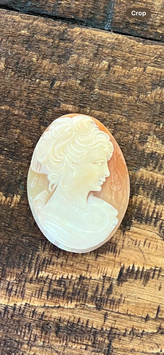 Shell Cameo Victorian Woman – Habillé Style with Necklace – Antique Cameo Brooch – Elegant Hand-Carved Jewelry