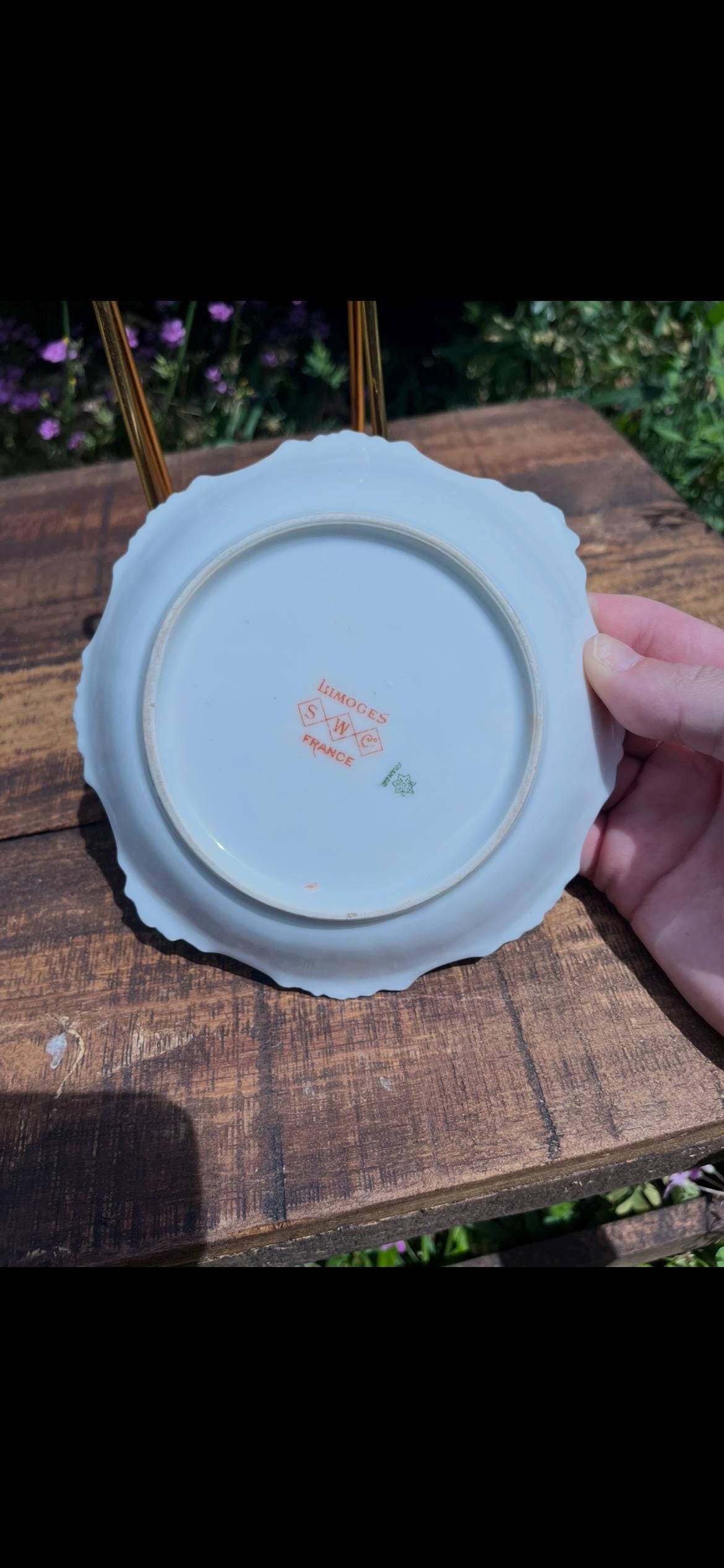 Small Game Bird Plate – Signed Dubois – Limoges Porcelain – SWC Stamped – Vintage Hand-Painted Bird Plate