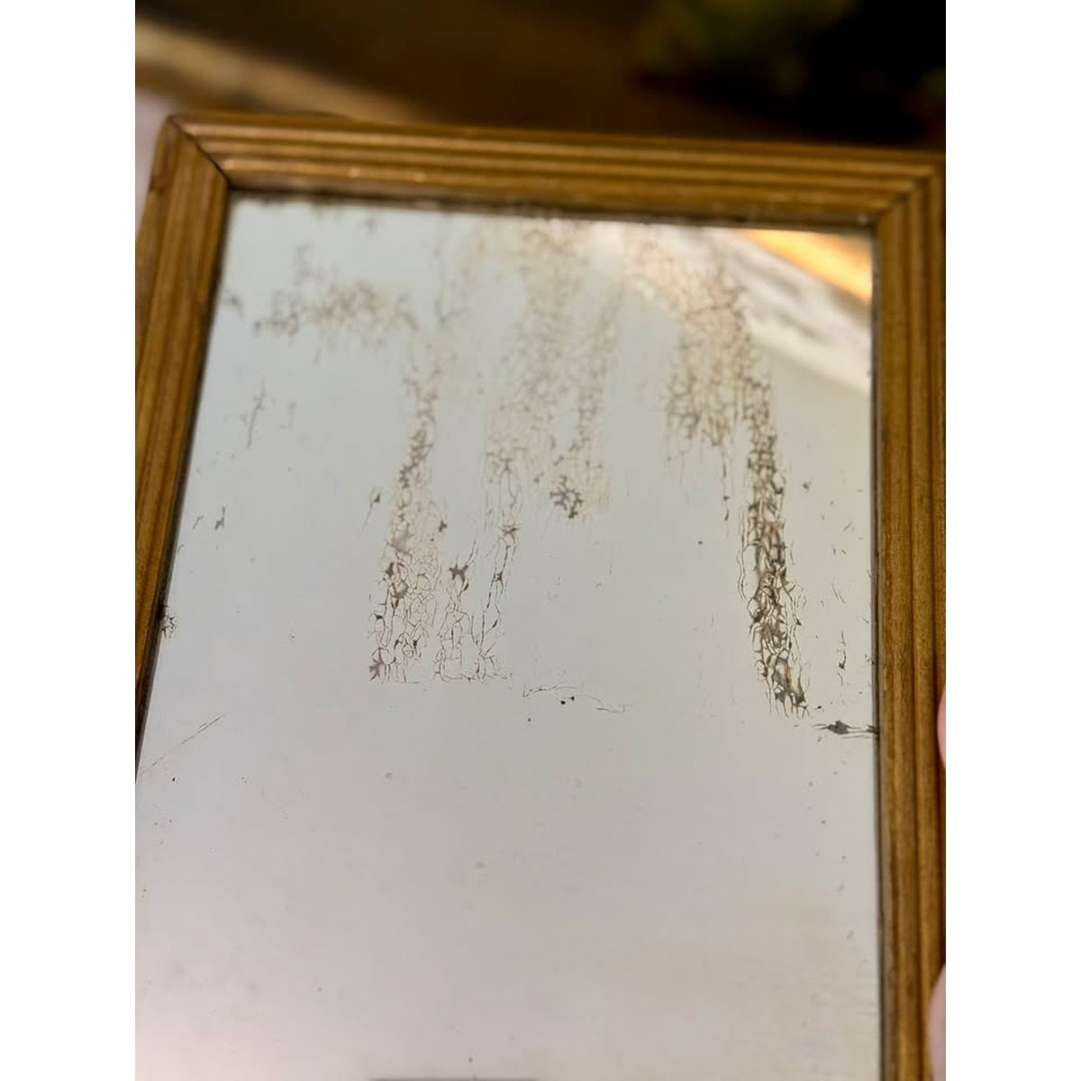 Vintage French Rococo Style Framed Print & Mirror with Ornate Handle