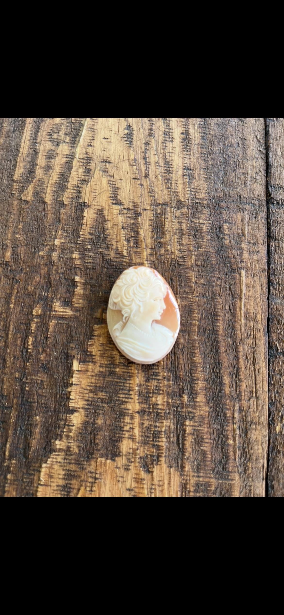 Shell Cameo Victorian Woman – Habillé Style with Necklace – Antique Cameo Brooch – Elegant Hand-Carved Jewelry