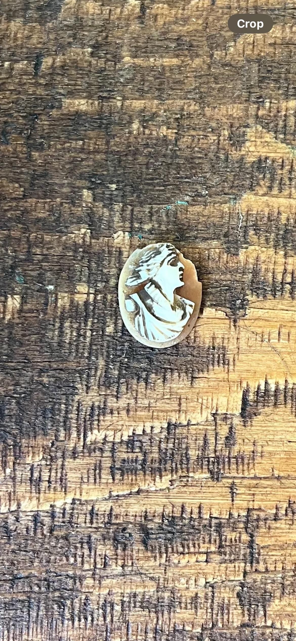Small Shell Roman Cameo – Antique Hand-Carved Portrait – Classical Cameo Jewelry – Vintage Collectible