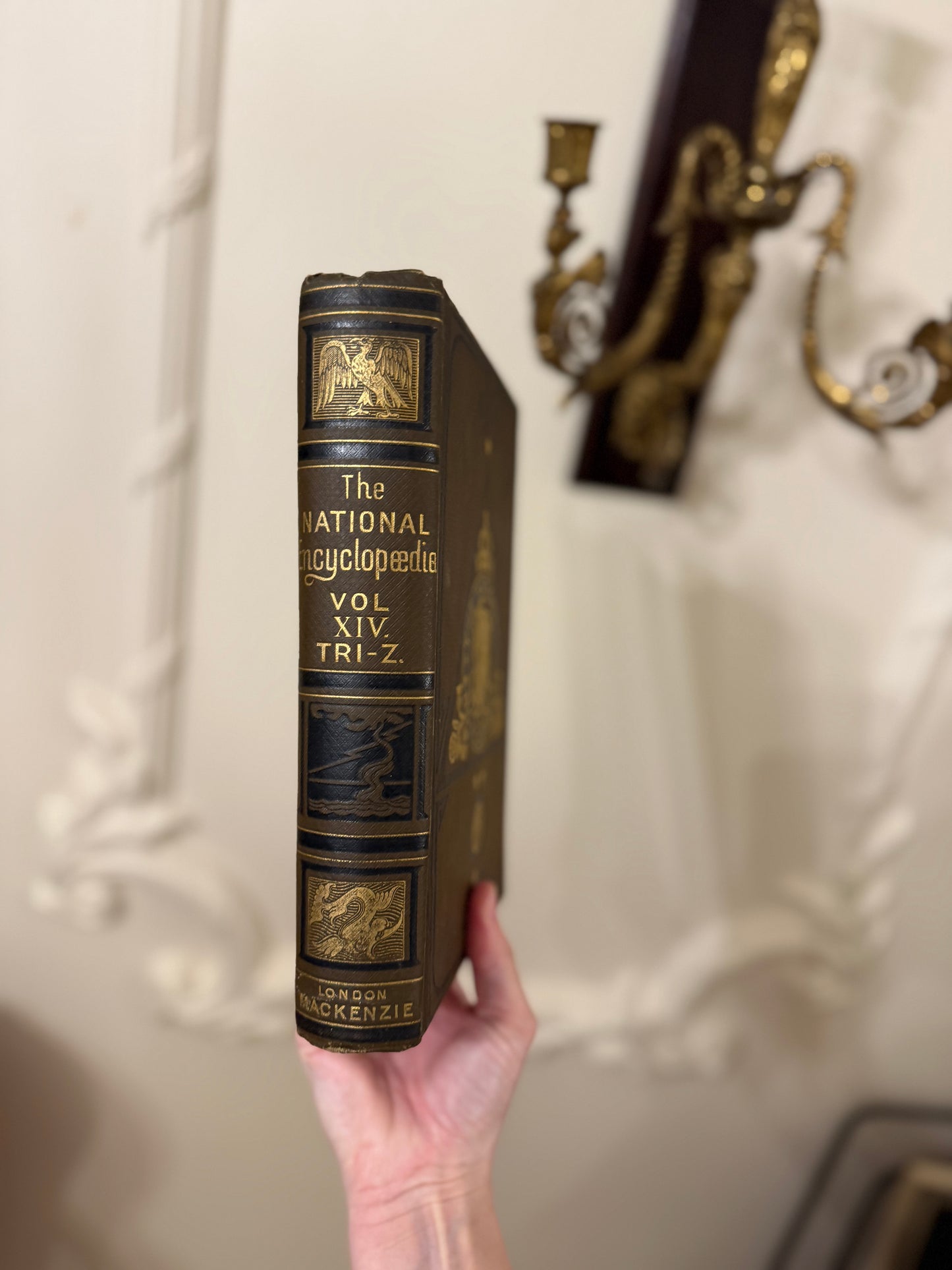 19th Century National Encyclopædia Decorative Book