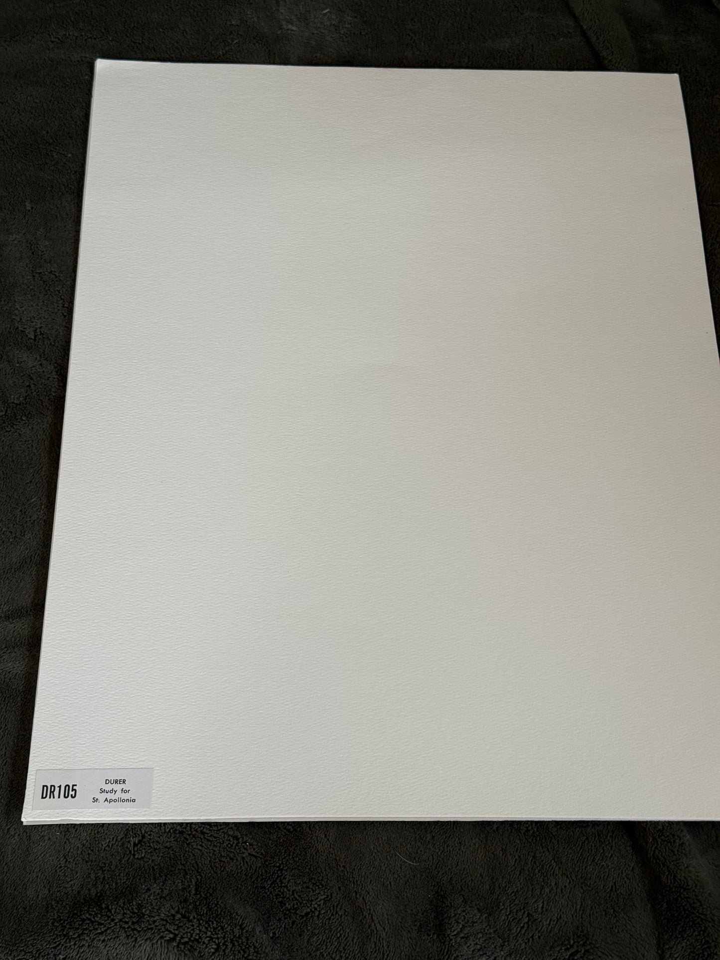 Albrecht Dürer – Study for St. Apollonia | 20th Century Authorized Museum Print | After the Original, Berlin Collections