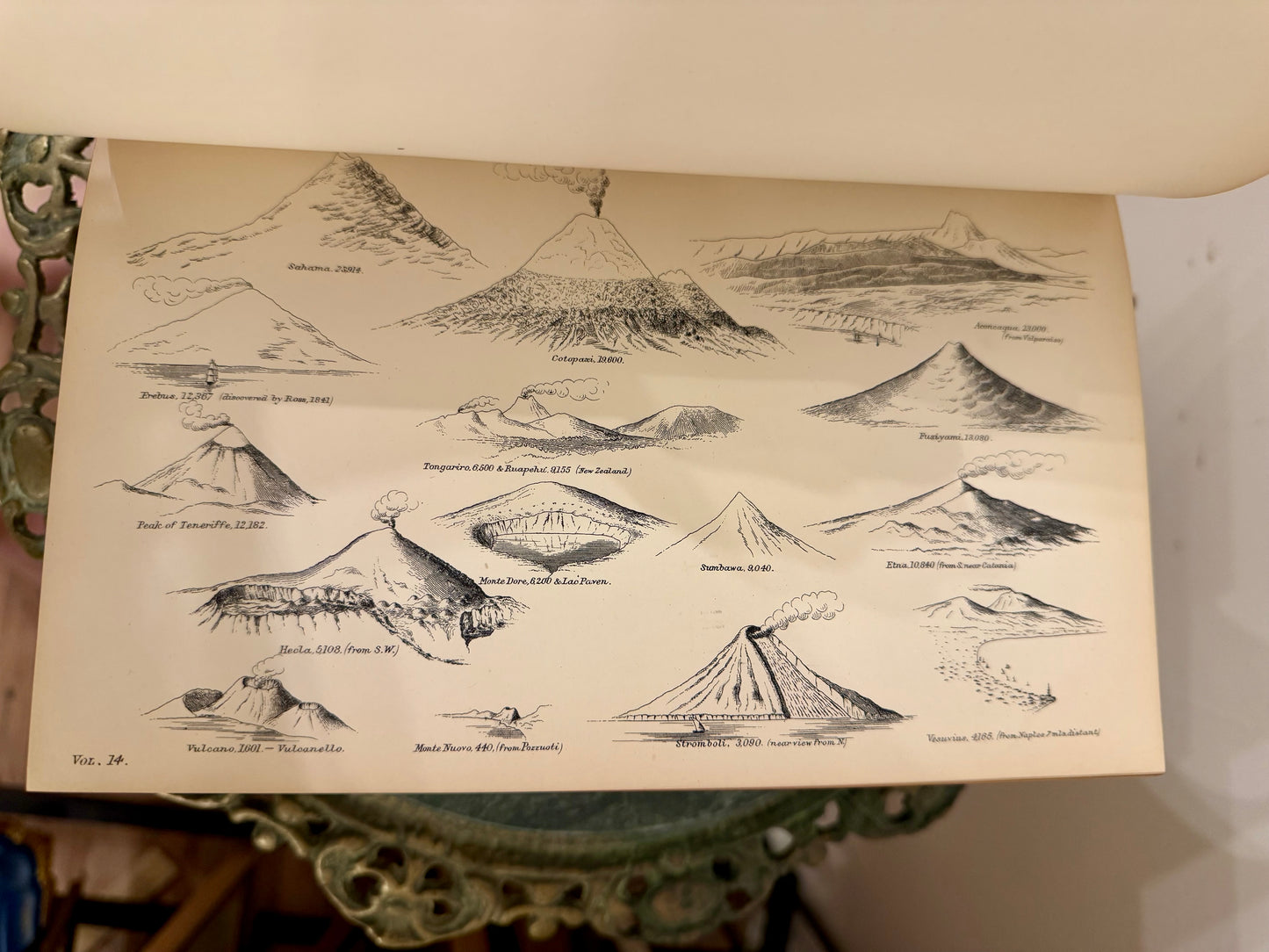 19th Century National Encyclopædia Decorative Book