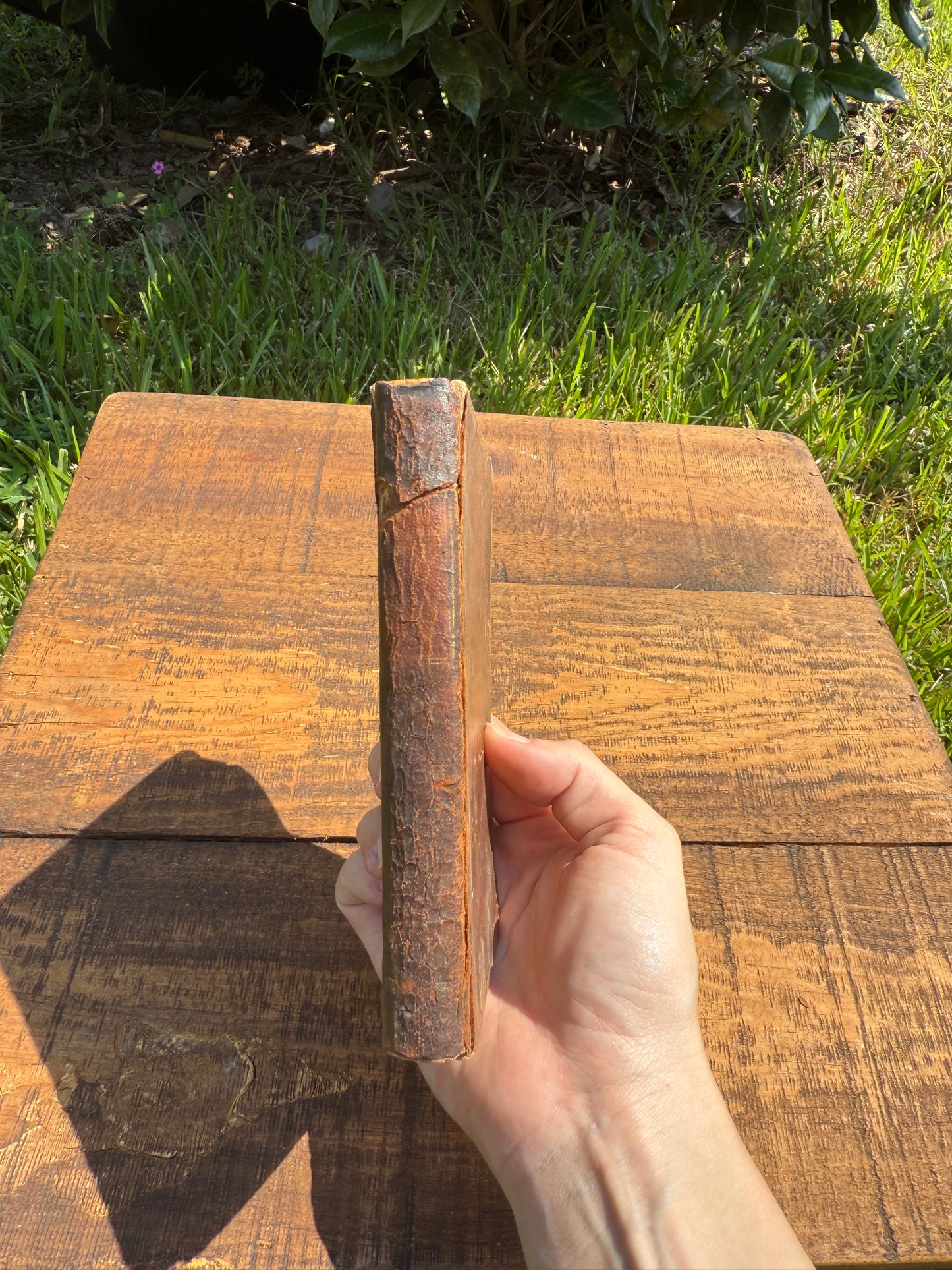 Late 18th-Century Leather-Bound Volume — Chaucer’s Palamon and Arcite & Homer’s Iliad