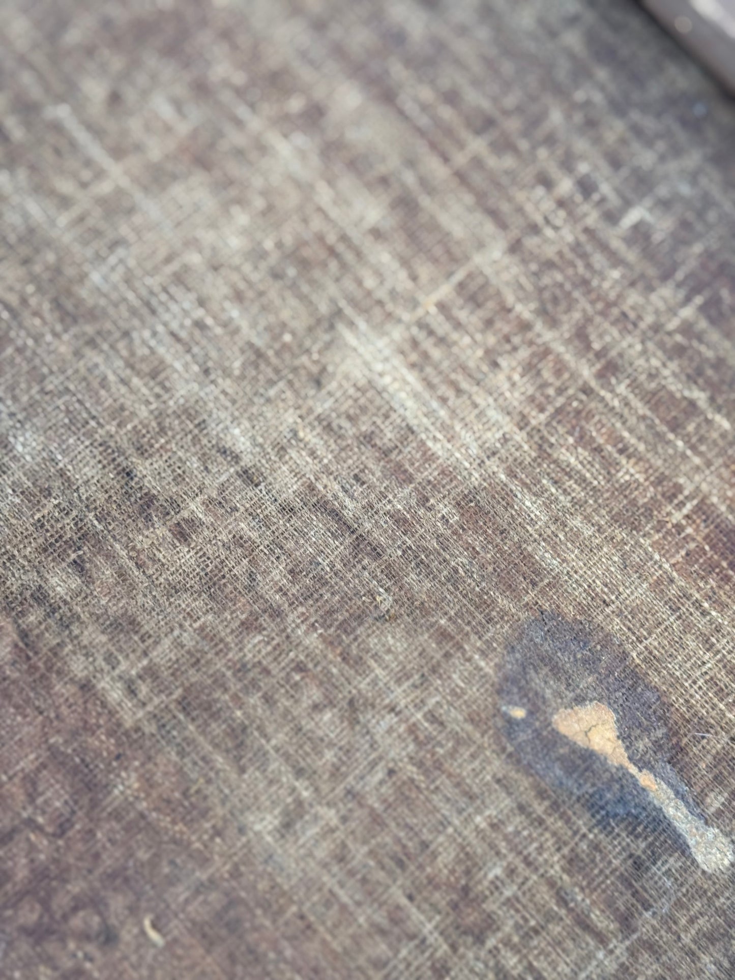 18th-Century Gentleman Portrait in Original Gilt Frame • Circle of Johann Nepomuk della Croce (European Collection Label)