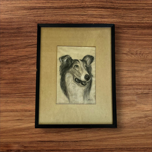 Original Collie Dog Sketch | Charcoal or Graphite Portrait | Pedigree Lineage | 13x16 Vintage Drawing